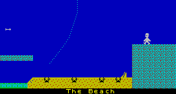 The Beach