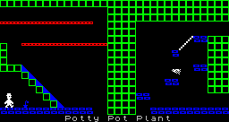 Potty Pot Plant